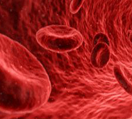 Imunohematologie – krevní skupiny