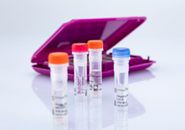 Veterinární PCR diagnostika