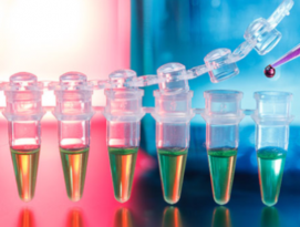 PCR a další molekulárně - biologické metody