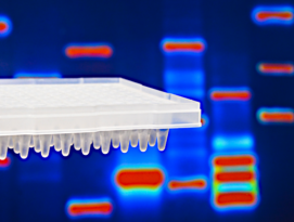 End-point PCR cyclers