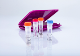PCR diagnostika přežvýkavců