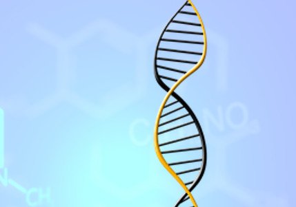Izolace plasmidové DNA