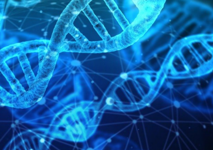 dna extraction dynex