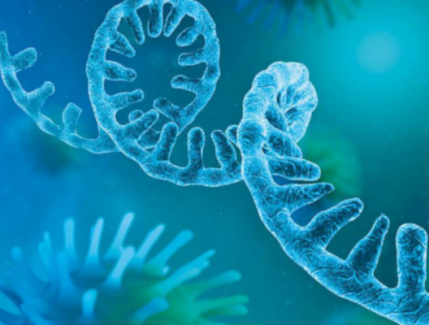 Sekvenování RNA Celemics