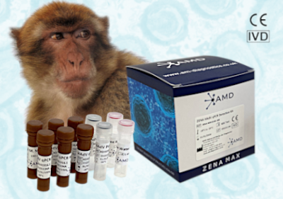 Diagnostika opičích neštovic s rychlým dodáním