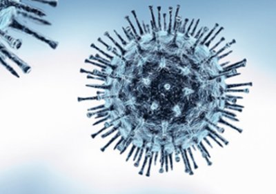 Detection of mutated SARS-CoV-2 variants by our tests